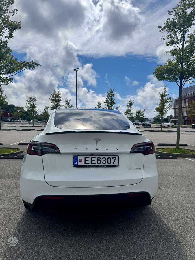 Tesla Model Y, Минивэн