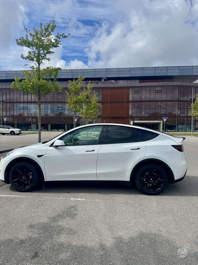 Tesla Model Y, Минивэн