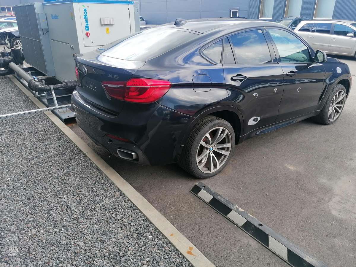 BMW X6 Visas auto dalimis