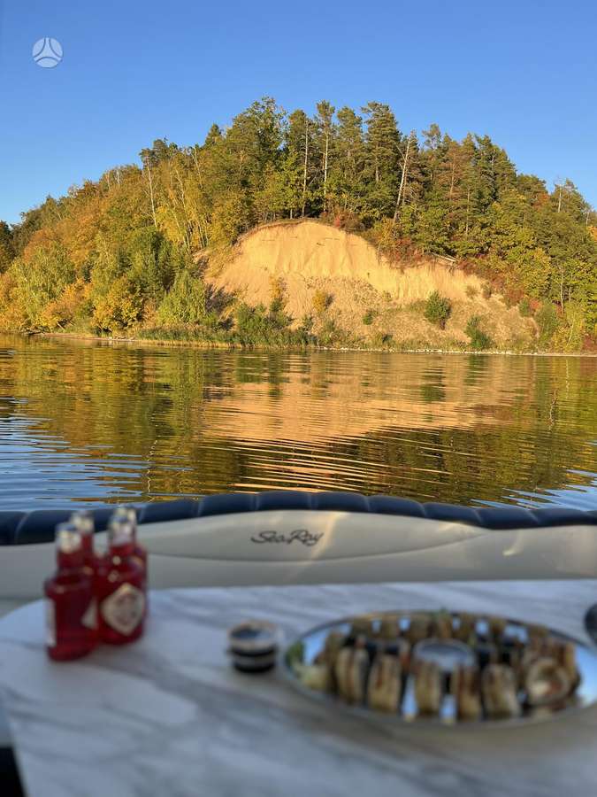 Sundancer 280/310 Searay, яхты / катера