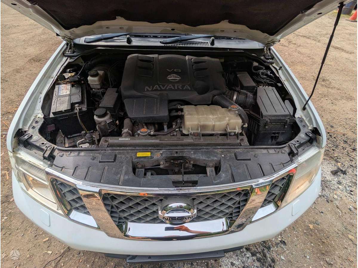 Nissan Navara variklis