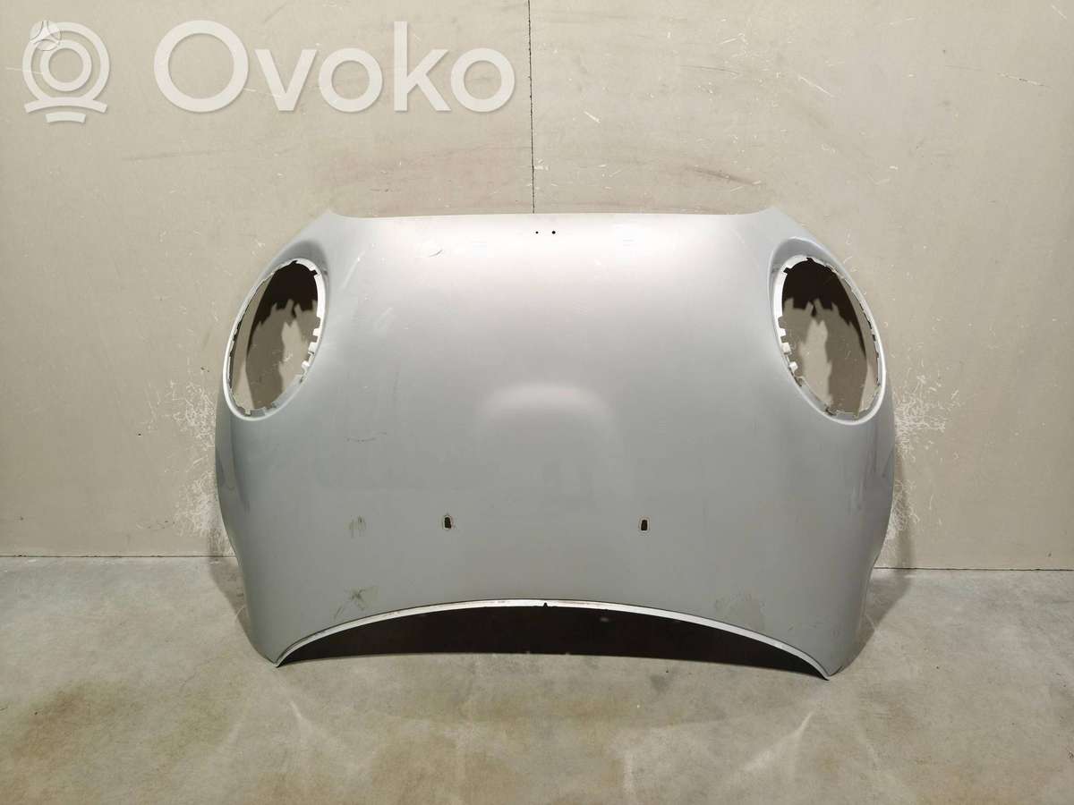 Mini Cooper hood (front, rear)