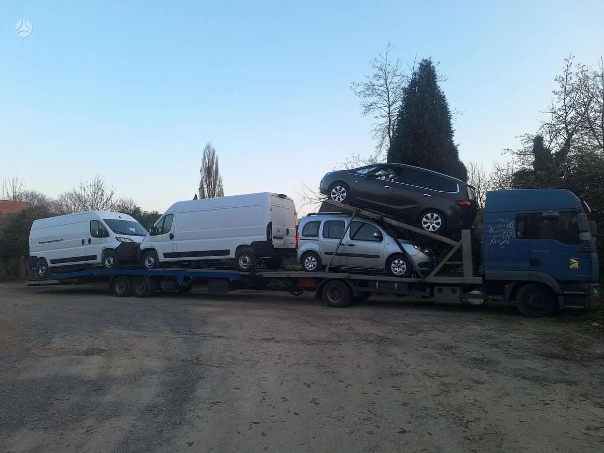 MAN TGL 8.240, автовозы