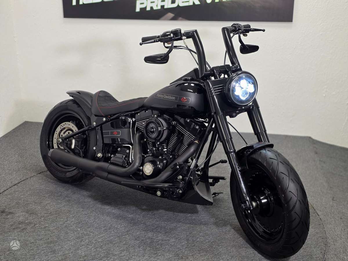 Harley-Davidson FLSTF 1600cc, choppers