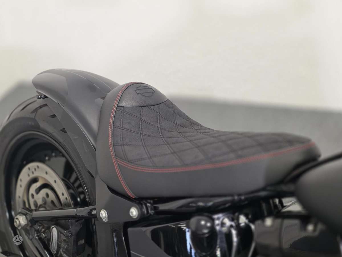 Harley-Davidson FLSTF 1600cc, choppers