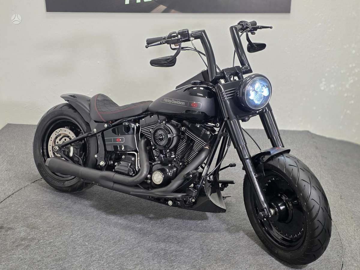 Harley-Davidson FLSTF 1600cc, choppers