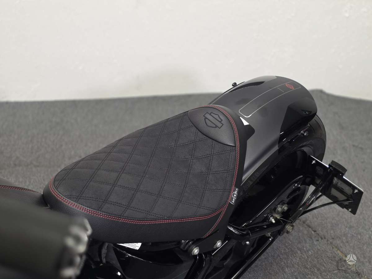 Harley-Davidson FLSTF 1600cc, choppers