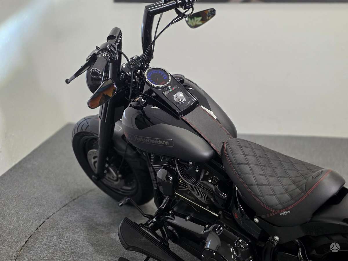 Harley-Davidson FLSTF 1600cc, choppers