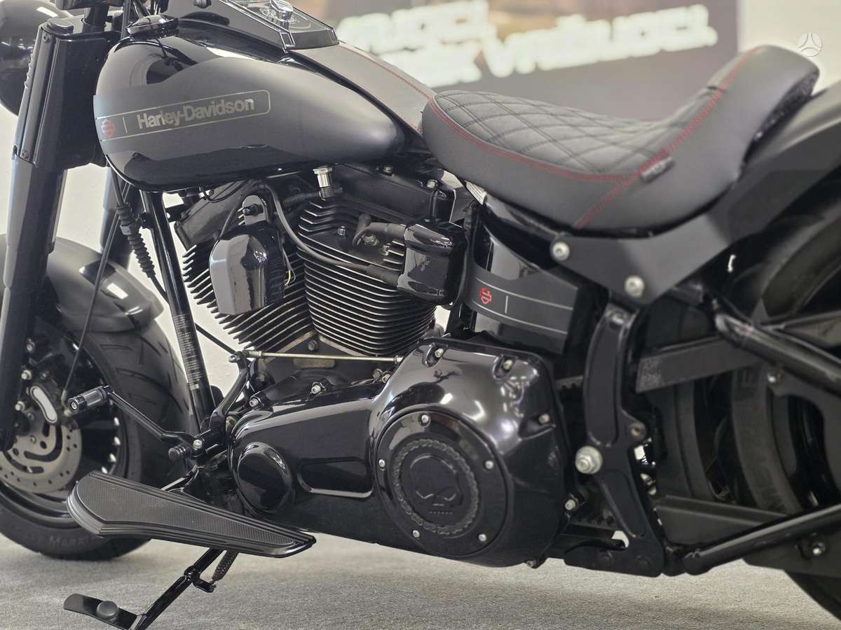 Harley-Davidson FLSTF 1600cc, choppers