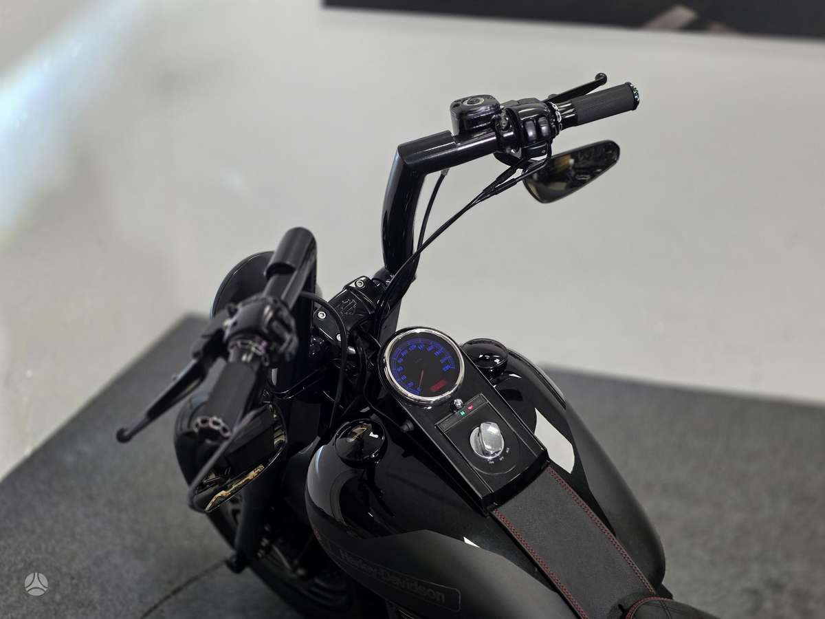 Harley-Davidson FLSTF 1600cc, choppers