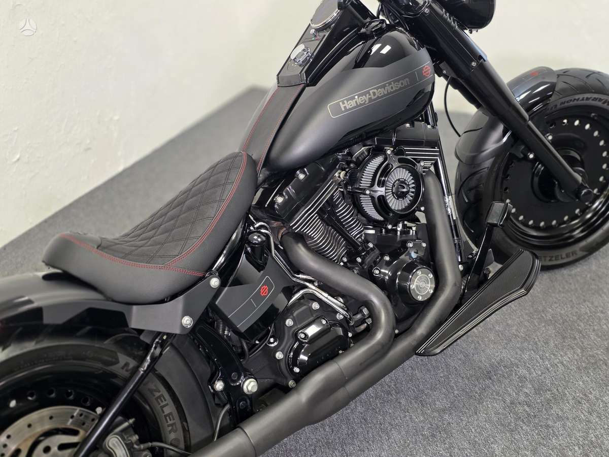 Harley-Davidson FLSTF 1600cc, choppers