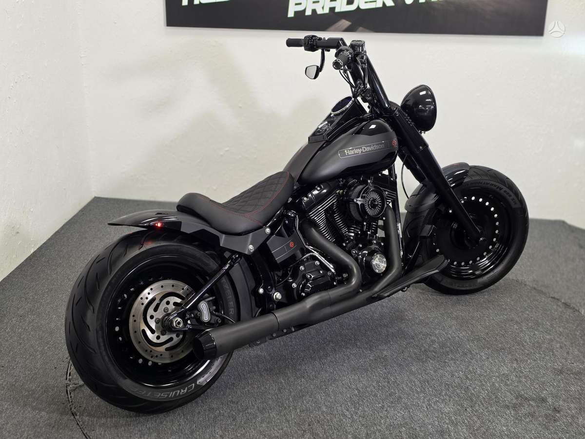 Harley-Davidson FLSTF 1600cc, choppers
