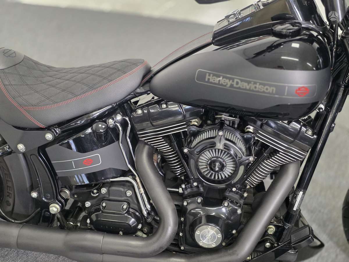 Harley-Davidson FLSTF 1600cc, choppers