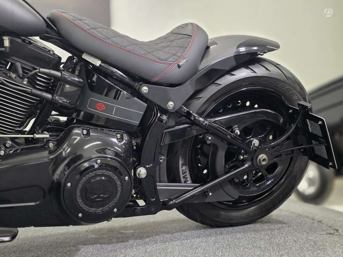 Harley-Davidson FLSTF 1600cc, choppers