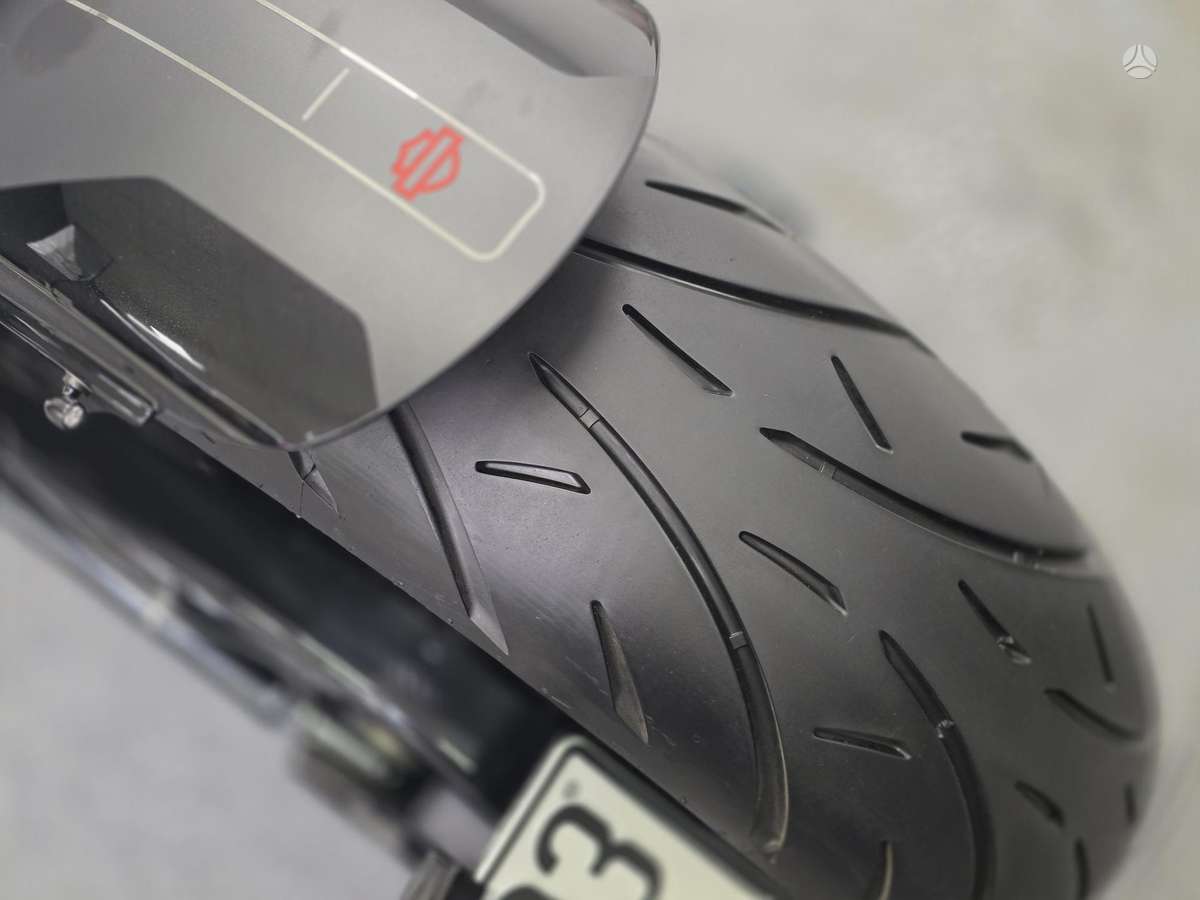 Harley-Davidson FLSTF 1600cc, choppers