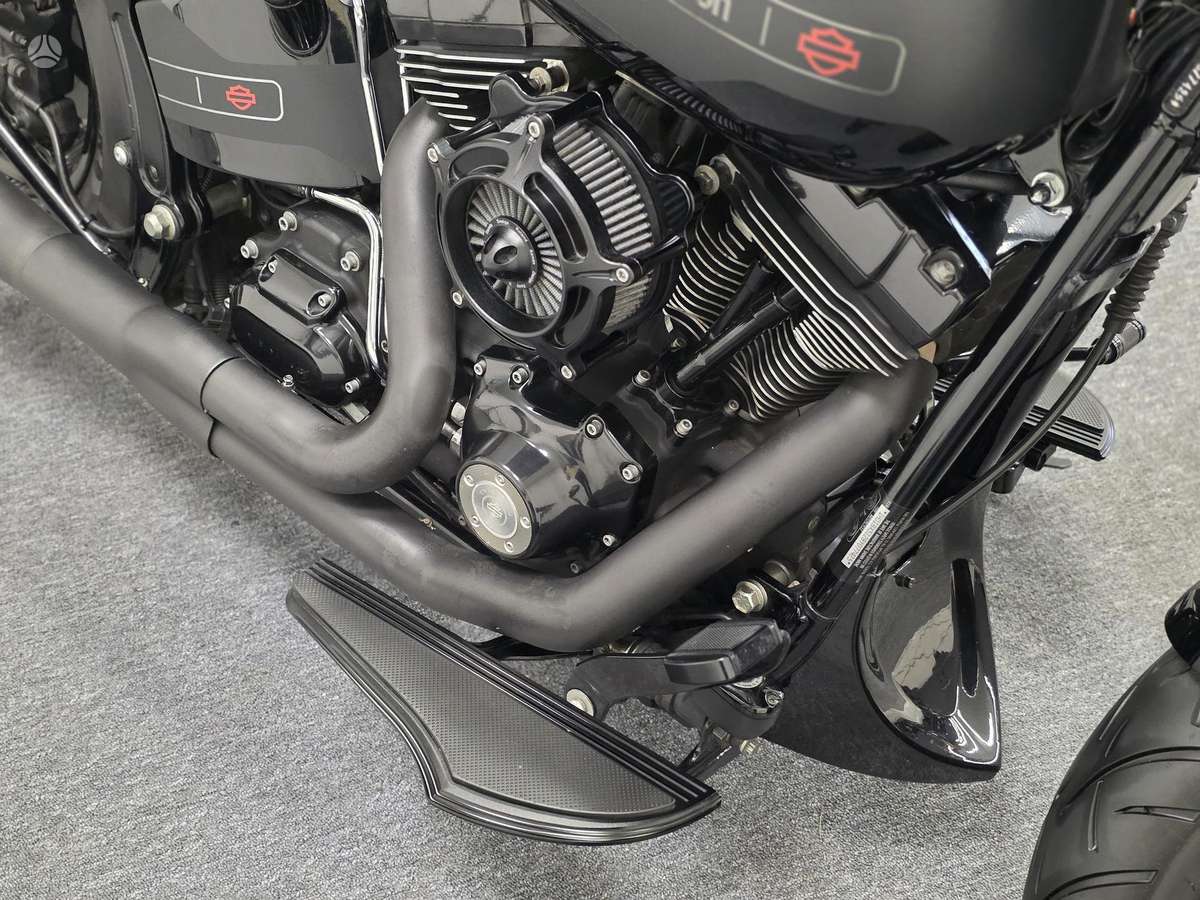 Harley-Davidson FLSTF 1600cc, choppers