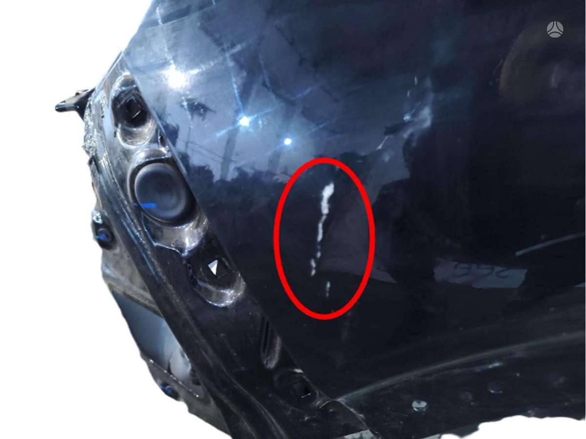 BYD Dolphin Surf dangtis (priekinis, galinis)