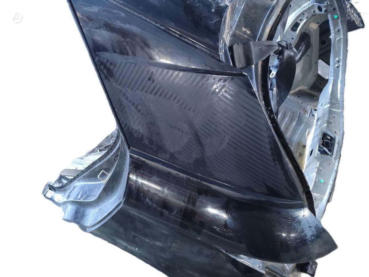 BYD Dolphin Surf hood (front, rear)