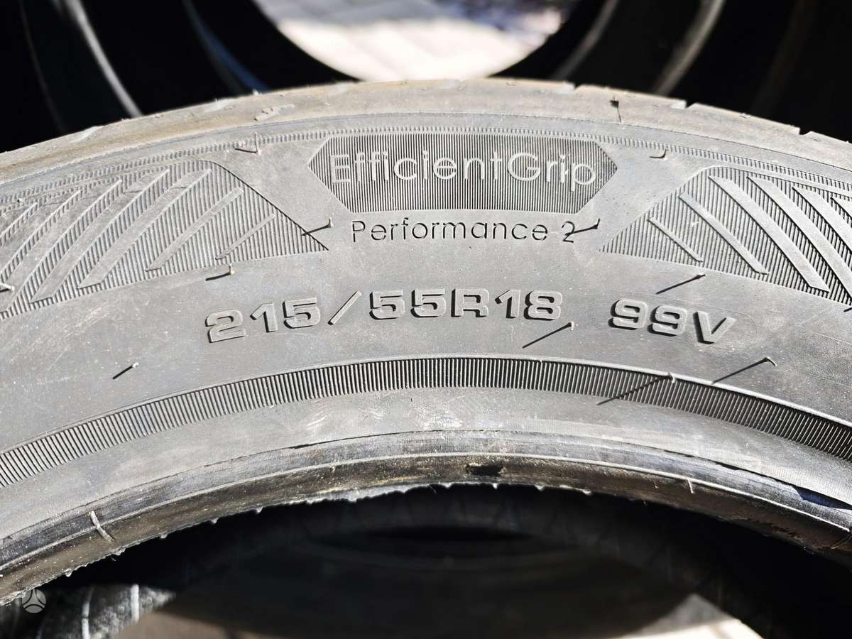 Goodyear Efficient Grip Performance 2, летние 215/55 R18