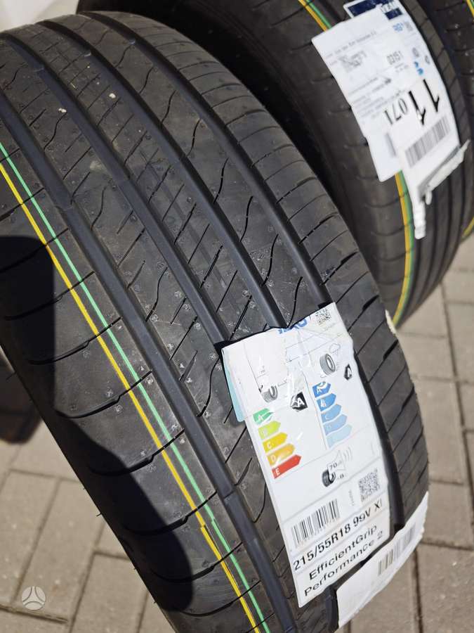Goodyear Efficient Grip Performance 2, vasarinės 215/55 R18