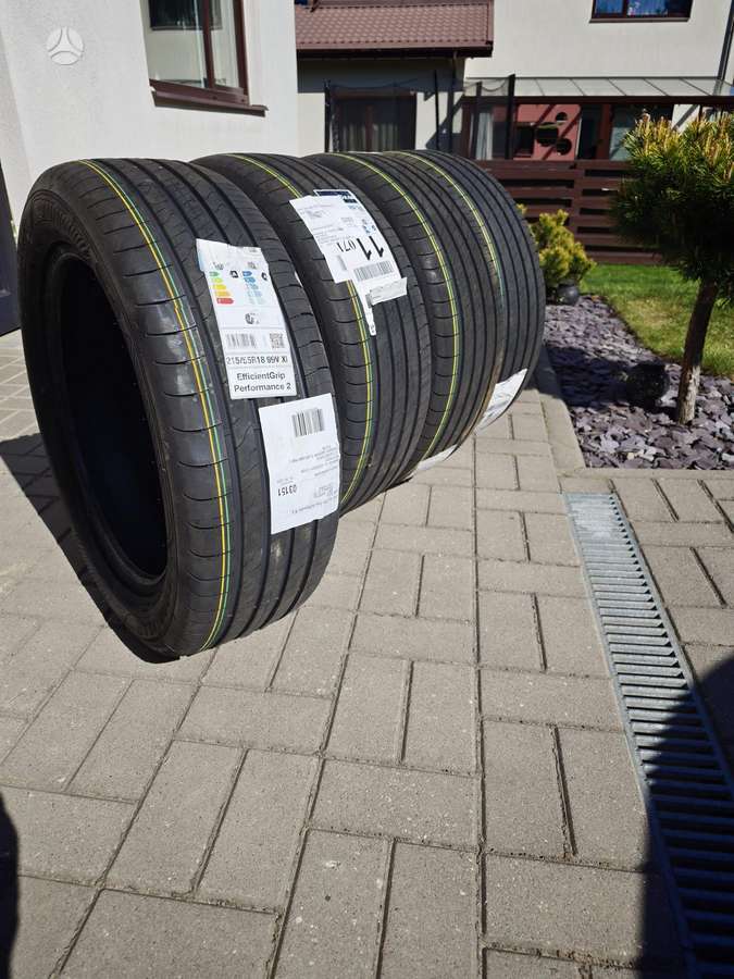 Goodyear Efficient Grip Performance 2, летние 215/55 R18