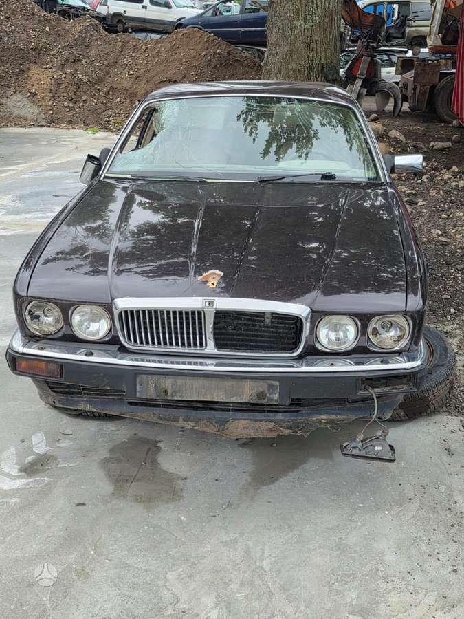 Jaguar XJ40 dalimis