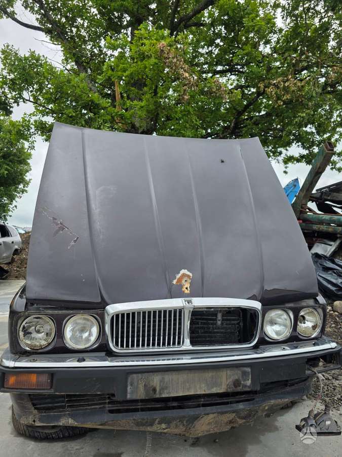 Jaguar XJ40 dalimis