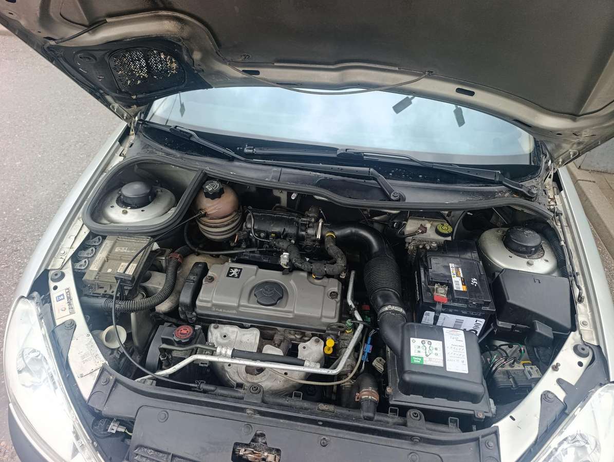 Peugeot 206, 1.4 l., hatchback