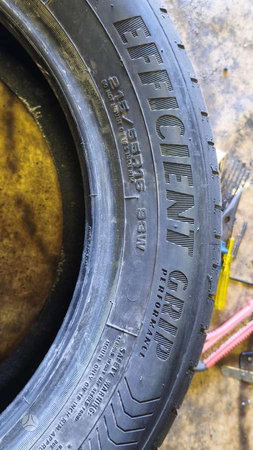 Goodyear Efficient Grip performance, летние 215/55 R16