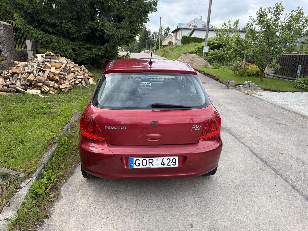 Peugeot 307 - 5