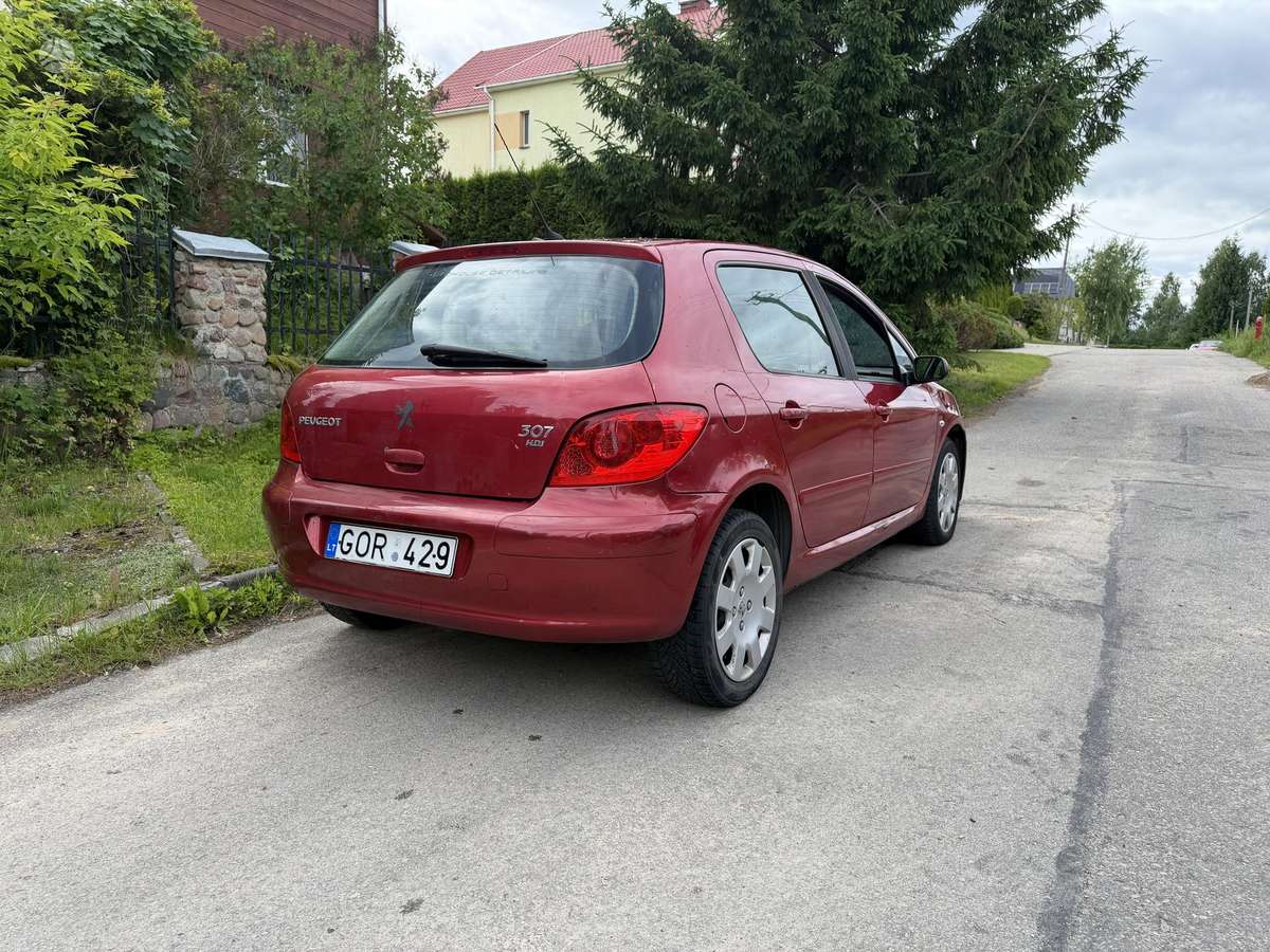 Peugeot 307 - 6