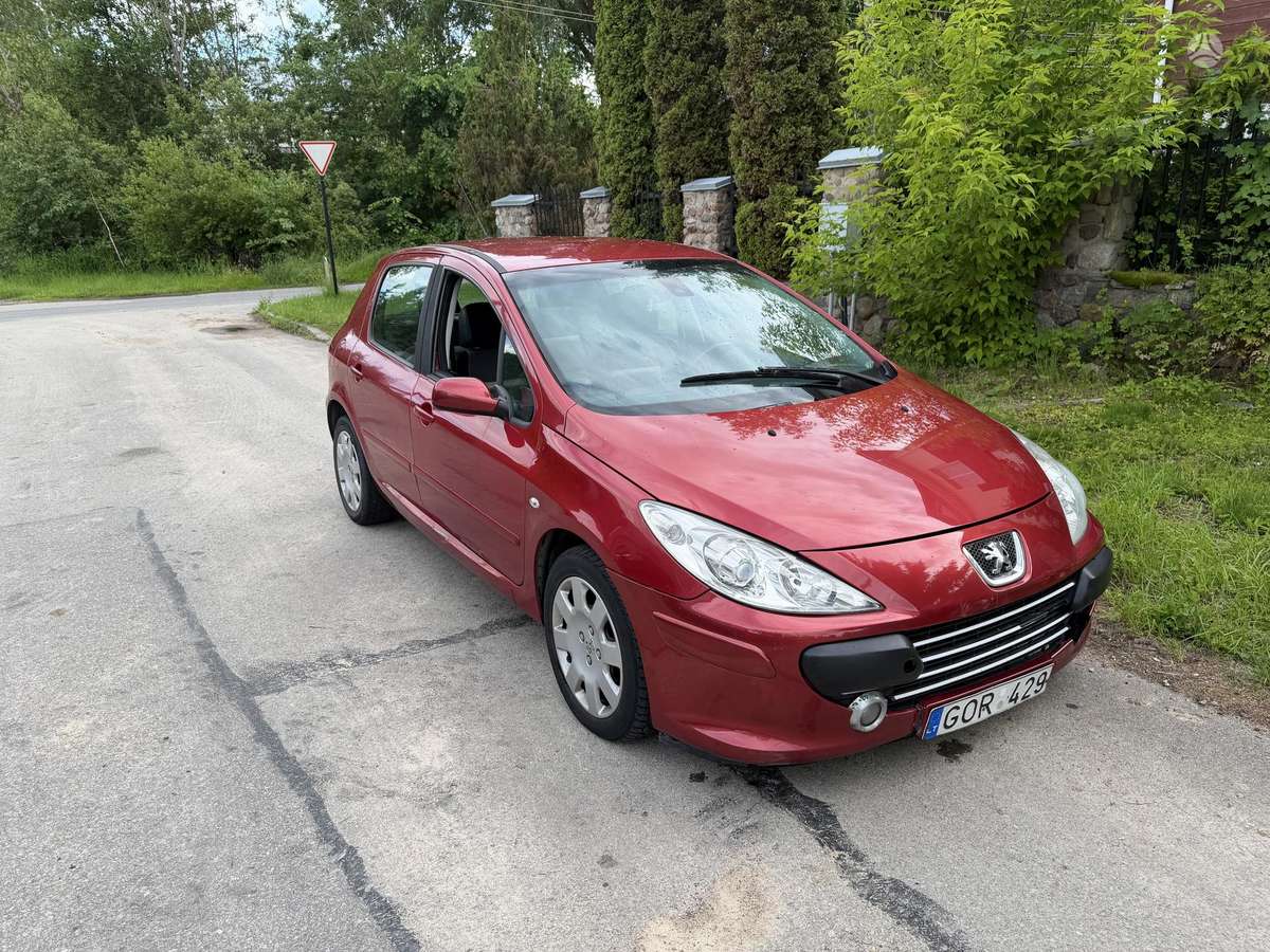 Peugeot 307 - 7