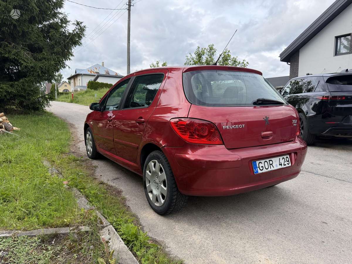Peugeot 307 - 9