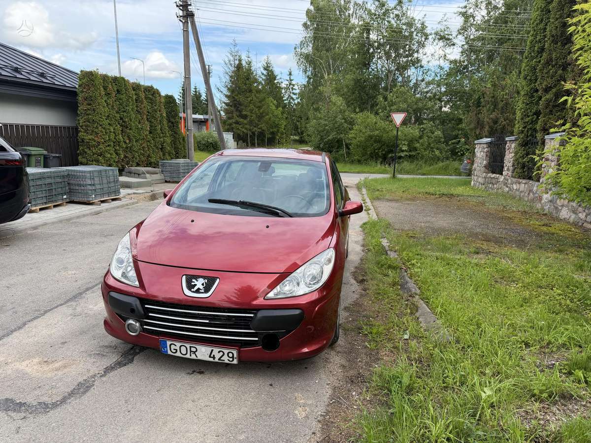 Peugeot 307 - 10