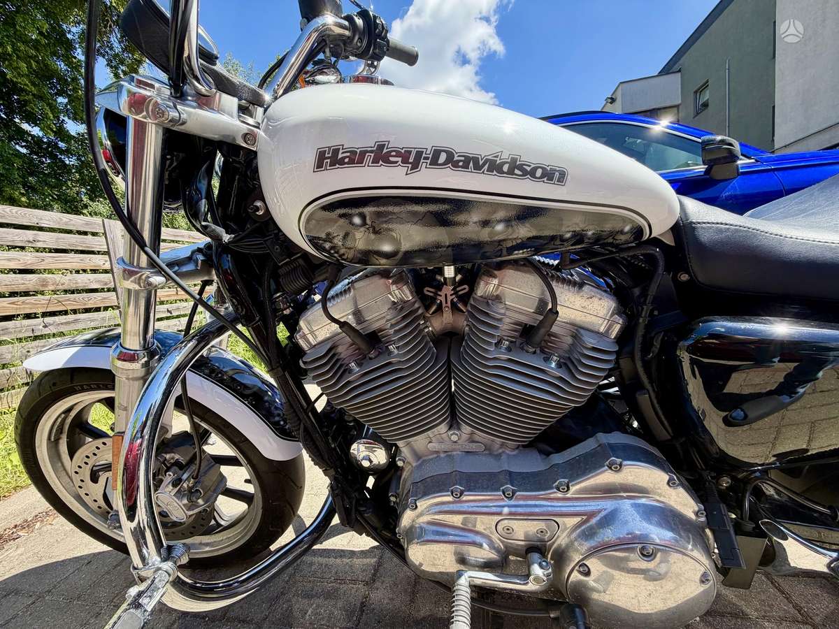 Harley-Davidson XL 883cc, choppers / cruisers / custom