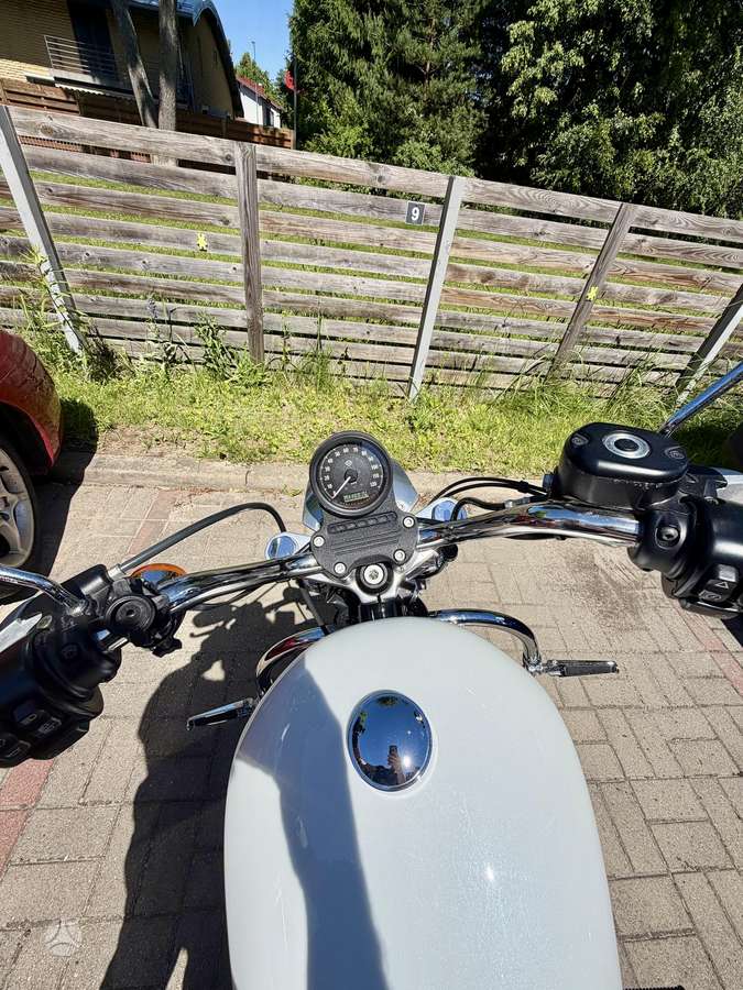 Harley-Davidson XL 883cc, choppers / cruisers / custom