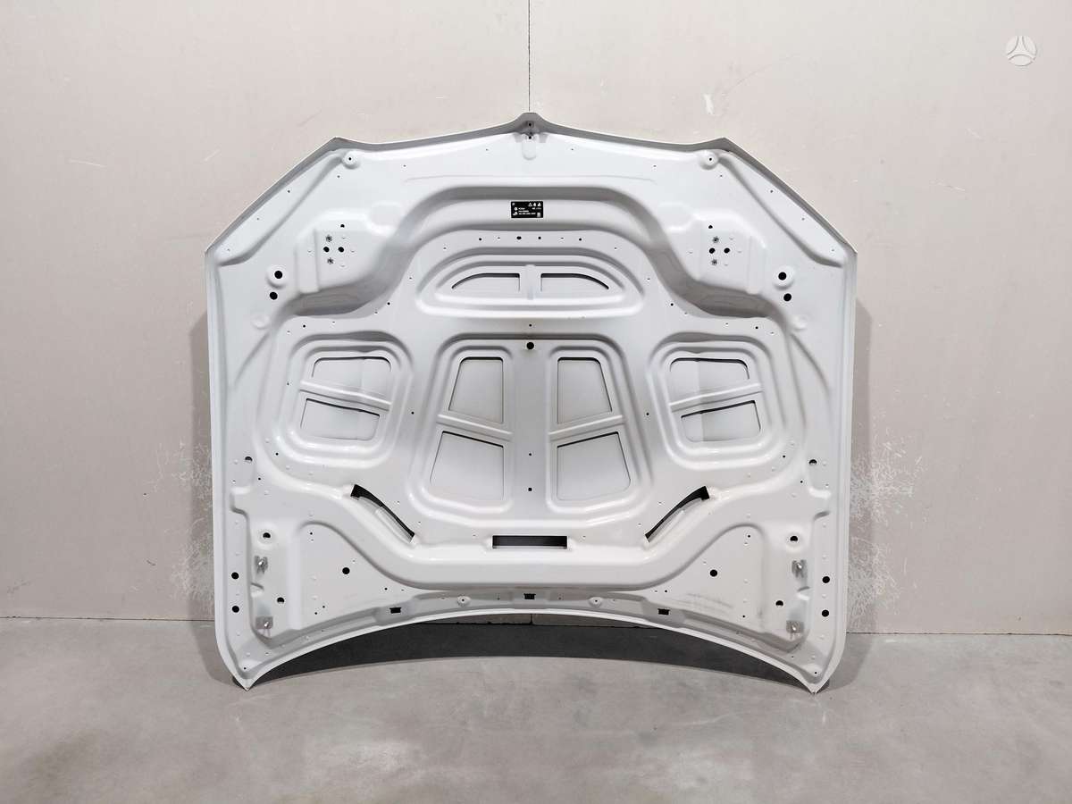 BMW X5 hood (front, rear)