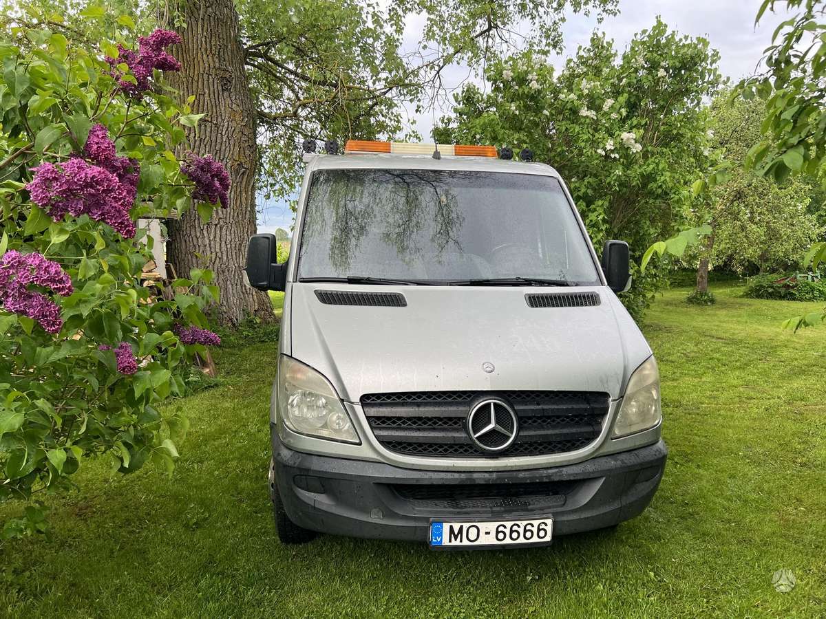 Mercedes-Benz Sprinter, auto transporters
