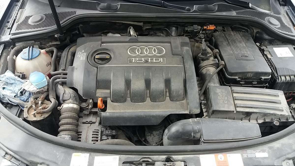 Audi A3, 1.9 l., hatchback