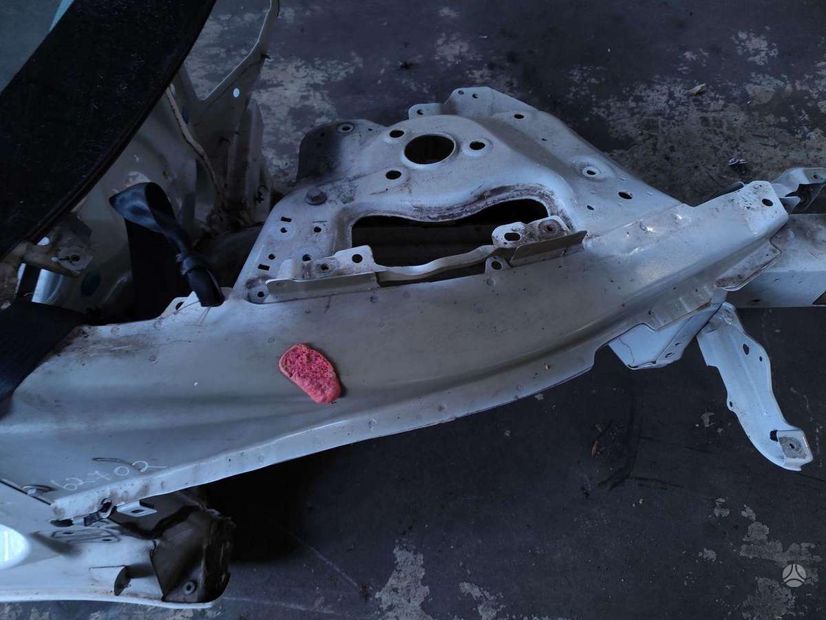 Tesla Model 3 dangtis (priekinis, galinis)