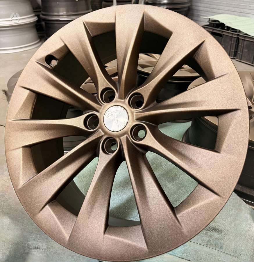 TESLA, light alloy, R19