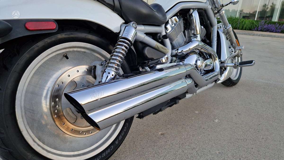 Harley-Davidson VRSCA 1130cc, choppers / cruisers / custom