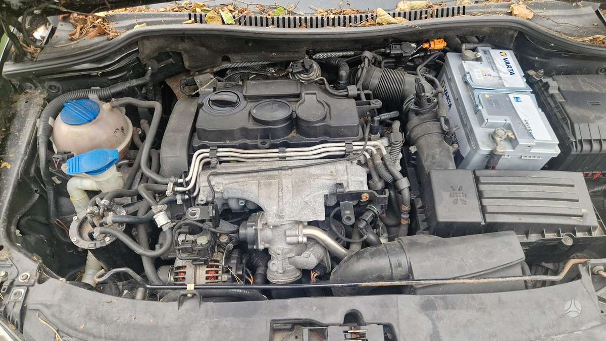 Seat Leon, 2.0 l., Хэтчбек
