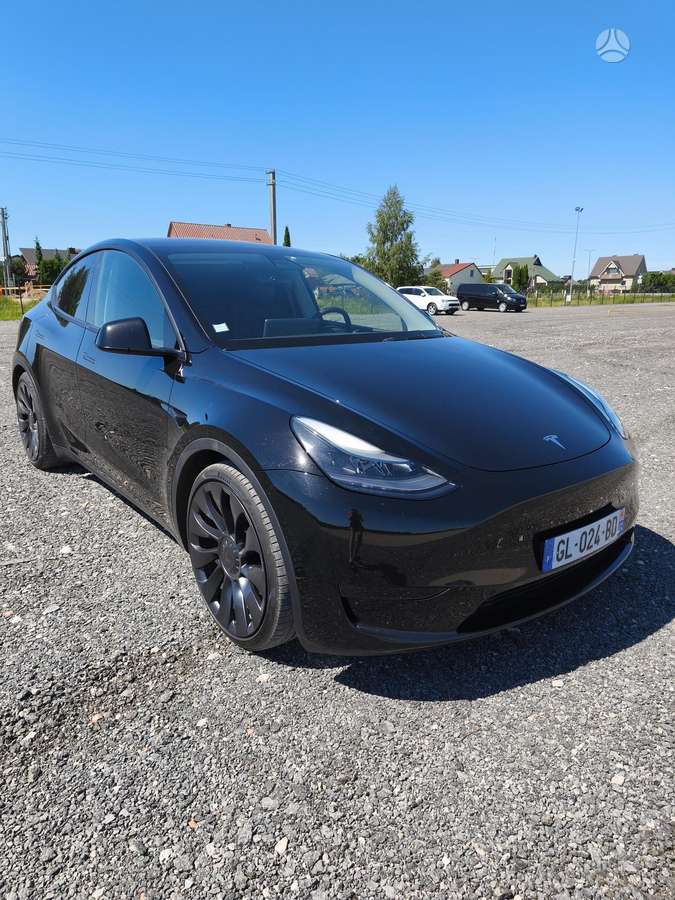 Tesla Model Y, Внедорожник / Кроссовер