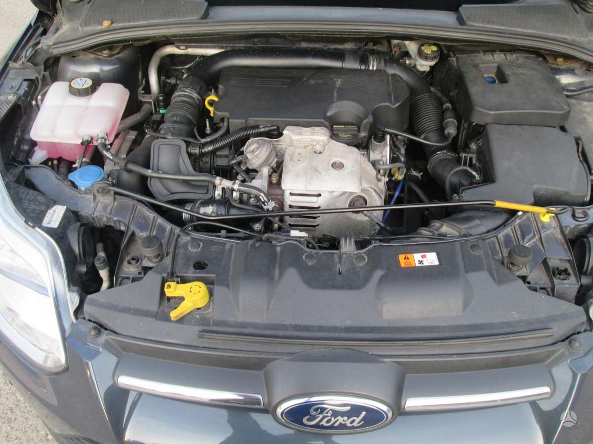 Ford Focus, 1.0 l., Хэтчбек