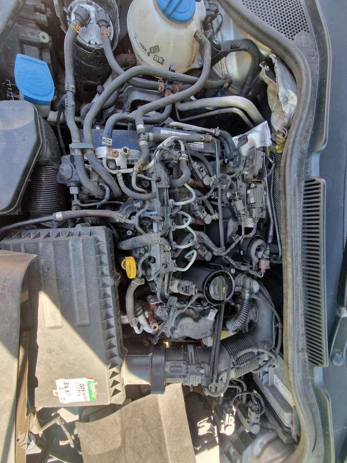 Volkswagen Polo dalimis