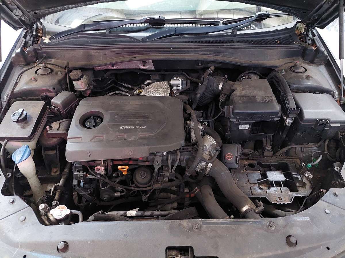 Kia Optima Vin knagu415v65039601