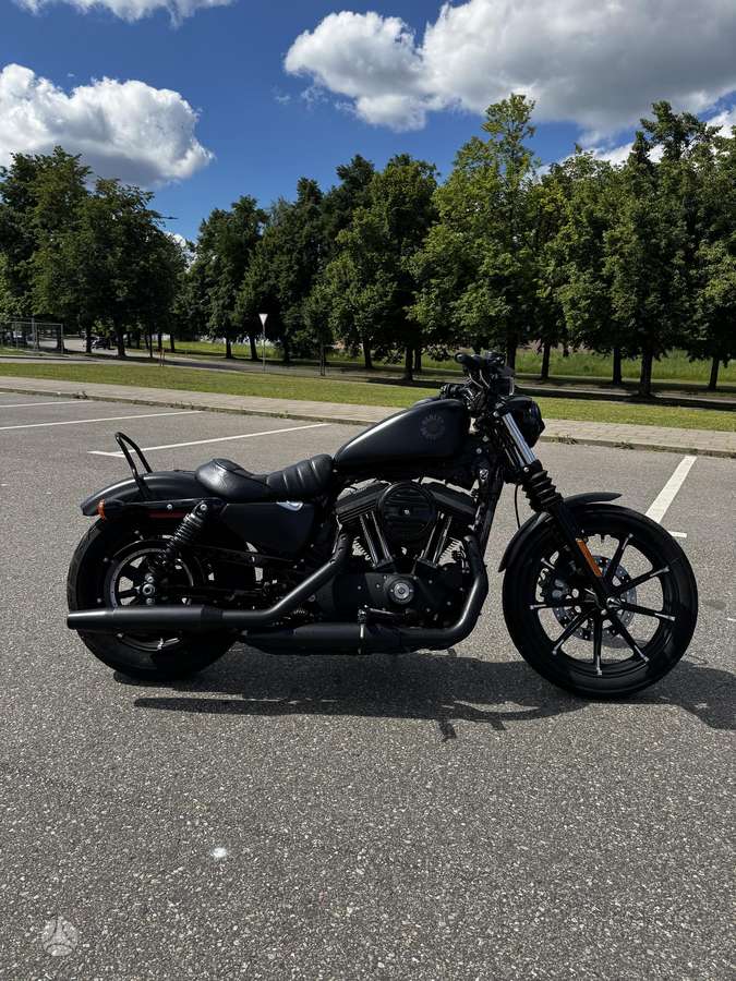 Harley-Davidson 883 883cc, choppers / cruisers / custom