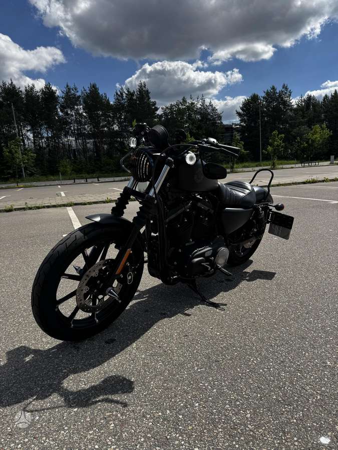 Harley-Davidson 883 883cc, choppers / cruisers / custom