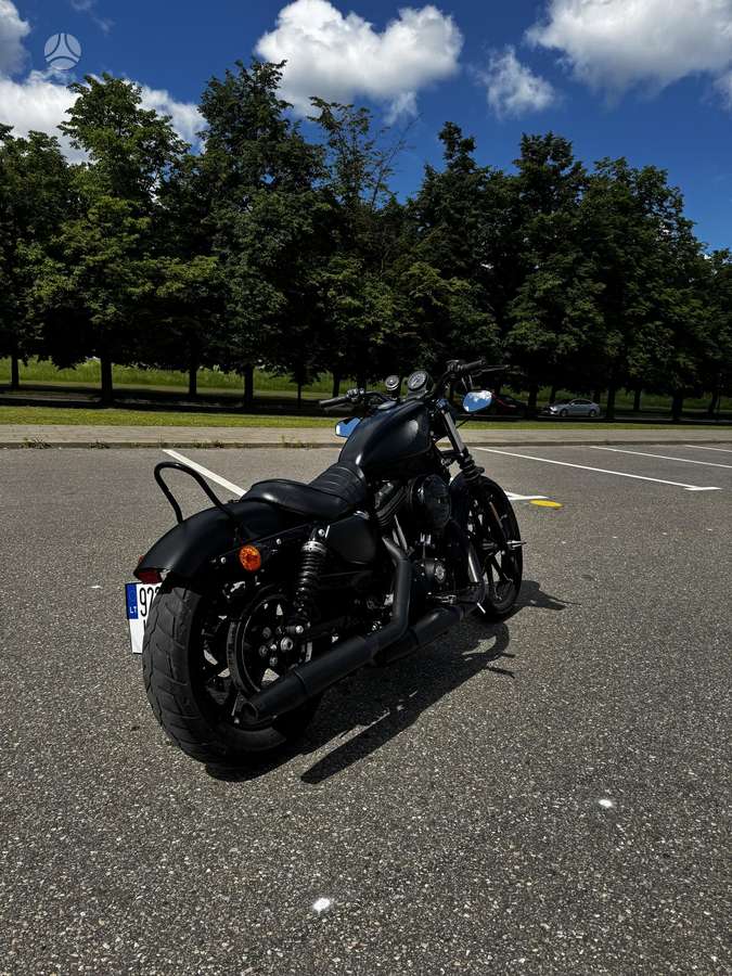 Harley-Davidson 883 883cc, choppers / cruisers / custom